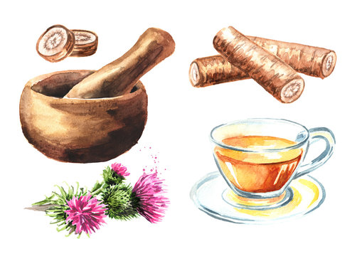 Burdock set. Mortar, cup of tea and burdock flowers with roots. Hand drawn watercolor illustration, isolated on white background