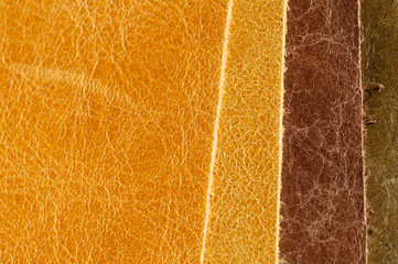 Brown Luxury leather samples close-up. Can be used as background. Industry background