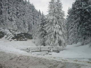 pont enneigé dans la forêt - bridge under snow in wood