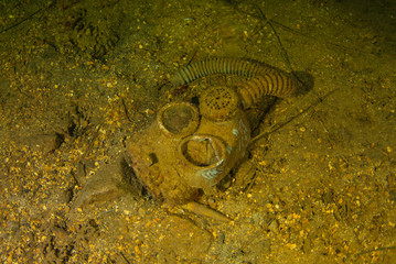 a decaying gas mask shot in the cargo hold of a sunken ship. The vessel that held this cargo was a second world war Japanese ship that was sunk in Chuuk Lagoon during conflict - 341016712