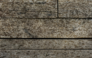 old wood background
