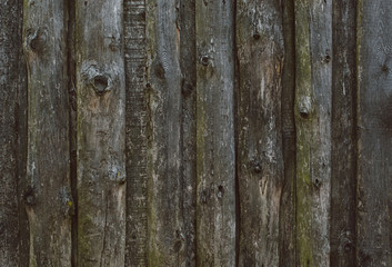 Fototapeta premium old wooden fence