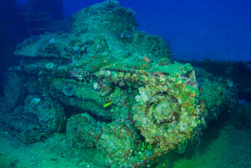 Naklejka na ściany i meble A Japanese battle tank on the sunken Nippo Maru in Chuuk Lagoon. The vessel that held this cargo was a second world war Japanese ship that was sunk during conflict