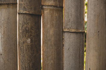 Textural background of bamboo wood. Fence, fencing in a rural house made of bamboo. It’s sunny. Georgia.