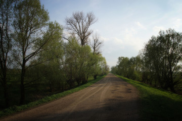 Fototapeta na wymiar Country road, evening and spring: walk in las rays of setting su