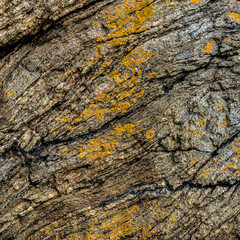 Granite stone at the seaside with traces of seaweed