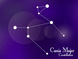 Plakat Canis Major constellation. Starry night sky. Cluster of stars, galaxy. Deep space. Vector illustration