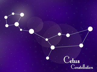 Fototapeta na wymiar Cetus constellation. Starry night sky. Cluster of stars, galaxy. Deep space. Vector illustration
