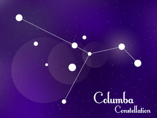 Fototapeta na wymiar Columba constellation. Starry night sky. Cluster of stars, galaxy. Deep space. Vector illustration