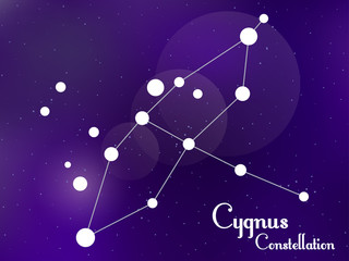 Obraz na płótnie Canvas Cygnus constellation. Starry night sky. Cluster of stars, galaxy. Deep space. Vector illustration
