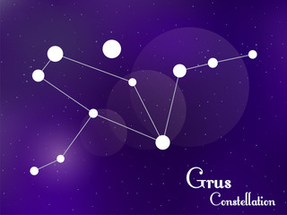 Obraz na płótnie Canvas Grus constellation. Starry night sky. Cluster of stars, galaxy. Deep space. Vector illustration