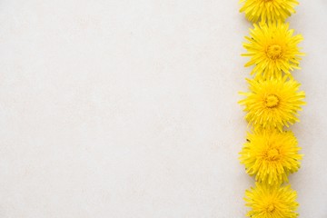 Yellow dandelions lies on a light textured surface. Wedding card. Flat lay, top view