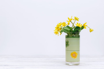 Bouquet of fresh yellow flowers on white background. spring wildflowers yellow flowers in glass isolated on white. backgroung for greetings card