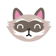 cute little raccoon flat style
