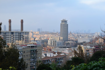Barcelona Cityscape with Shrubs and Plants in Foreground
