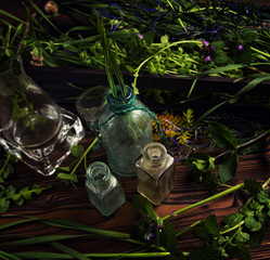 magical herbs on a table