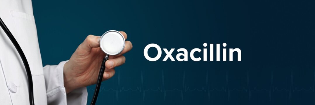 Oxacillin. Doctor in smock holds stethoscope. The word Oxacillin is next to it. Symbol of medicine, illness, health