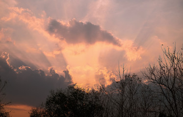 Fototapeta na wymiar Beautiful sky when sunset with silhouette tree. Twilight sky with sun beam when sunset.