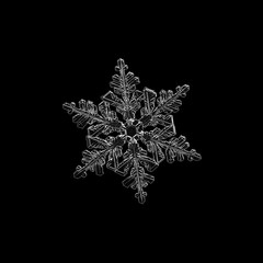 Snowflake isolated on black background. Macro photo of real snow crystal: complex stellar dendrite...