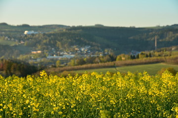 Zschopau Erzgebirge