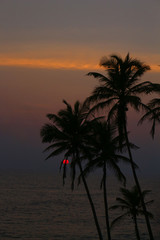 Fototapeta na wymiar an Beautiful Landscape of Red balled Sun dawn set in Sri Lanka