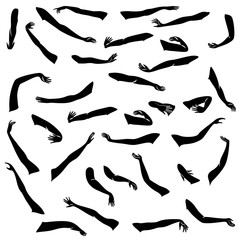 Women s hands. Beautiful graceful silhouettes. Collection. Vector illustration of a set