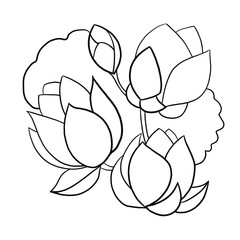 vector illustration of a lotus flower
