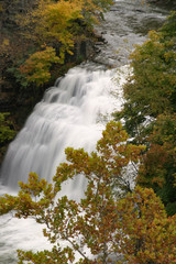 Fototapeta na wymiar Forest Falls on Fall Creek, Ithaca, NY