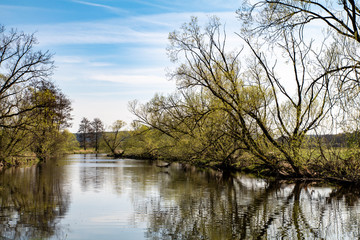 Frühlingserwachen an der Waldnaab