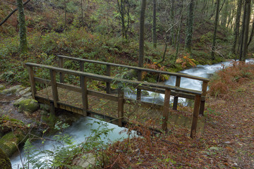 Fototapeta na wymiar Forest path that runs parallel to the river da Fraga, in the town of Moaña, Galicia, Spain.