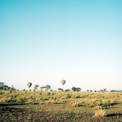Fototapeta na wymiar Hot Air Balloons Flying Over Grassy Field Against Clear Sky