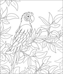 Amusing long-tailed parrot macaw with a striped plumage, perched among leaves on a tree branch in a tropical jungle, wild scenery, black and white vector cartoon illustration for a coloring book page
