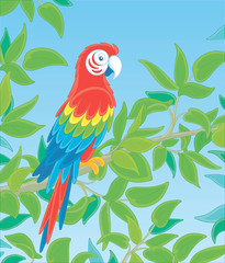 Amusing colorful parrot macaw, long-tailed and with brightly colored plumage, perched on a green tree branch in a tropical jungle, wild scenery, vector cartoon illustration