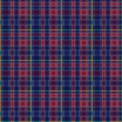 Tartan plaid mainly in blue and red
