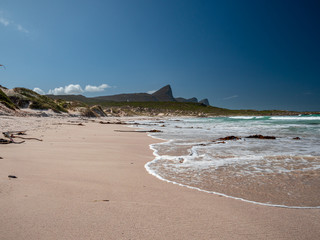 Fototapeta na wymiar South African beach life landscape with white sand and awesome background