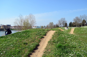 Trampelpfad im Freibuger Seepark