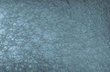 blue bubbles macro