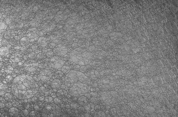 black and white bubbles macro