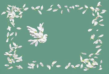 Naklejka premium Frame made of blue or green paper with a border of chamomile petals. Decorative dove consists of white chrysanthemum petals.