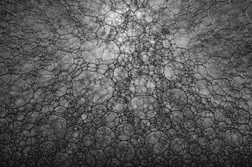black and white bubbles macro