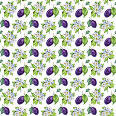 Watercolor seamless pattern with purple plums and leaves on white background. Hand-painted.
