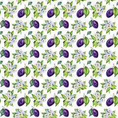 Watercolor seamless pattern with purple plums and leaves on white background. Hand-painted.