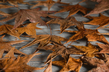 Maple leaves on an old wooden table, blurred background