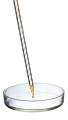 Petri dish isolated on white