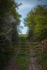 Old Rustic Farm Gate in the Yorkshire Countryside with a Dirt Road