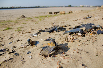 ecological concept of ecology, garbage in the forest, glass fragments lying in the ground and grass