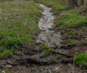 Kopaninsky creek near Krkonose national park in spring day
