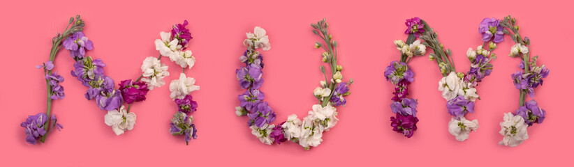 flowers for moms 
Happy Mother’s Day 