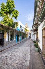 Obraz premium Streets decorated with flowers, Cordoba, Spain