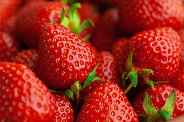 Ripe sweet strawberries. Summer ripe berries.